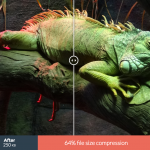 GIFファイルを圧縮して容量を小さくしてくれる『COMPRESSOR』